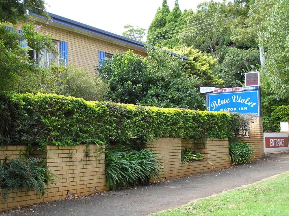 Blue Violet Motor Inn Toowoomba Esterno foto